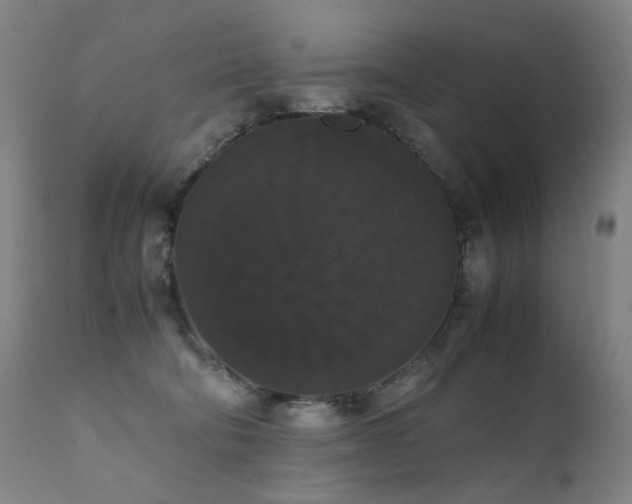 X0000111370322200907171204