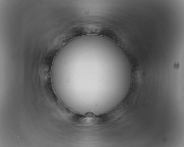 X0000111370323200907171204