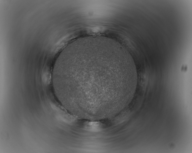 X0000111370324200907171204