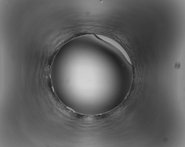 X0000111370325200907171204