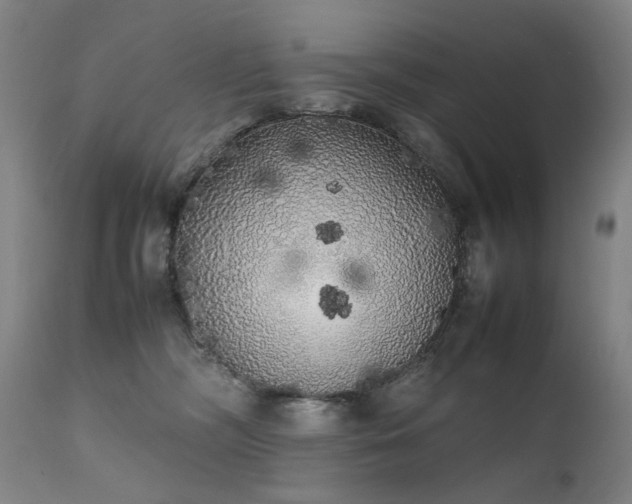 X0000111370326200907171204