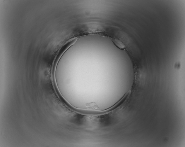 X0000111370327200907171204