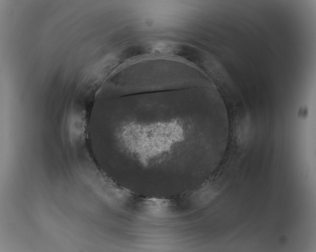 X0000111370328200907171204