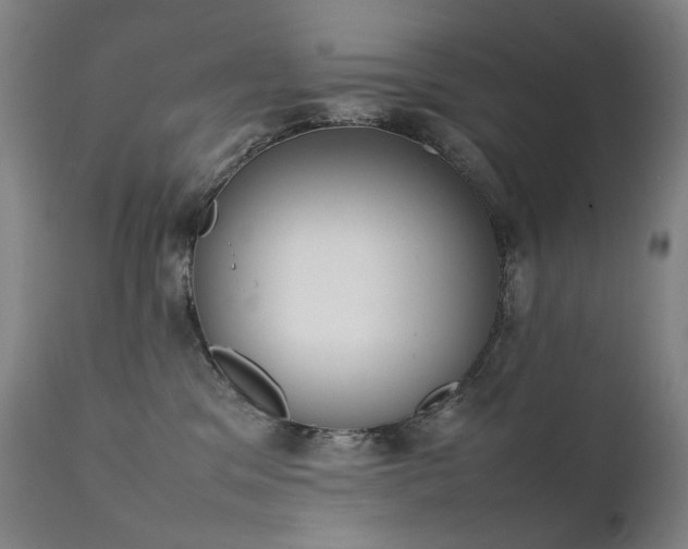 X0000111370329200907171204