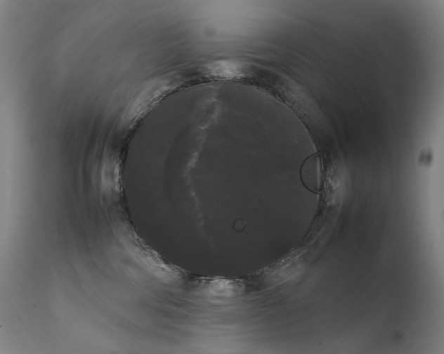 X0000111370330200907171204