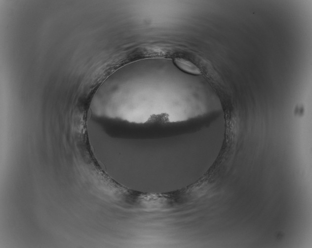 X0000111370331200907171204