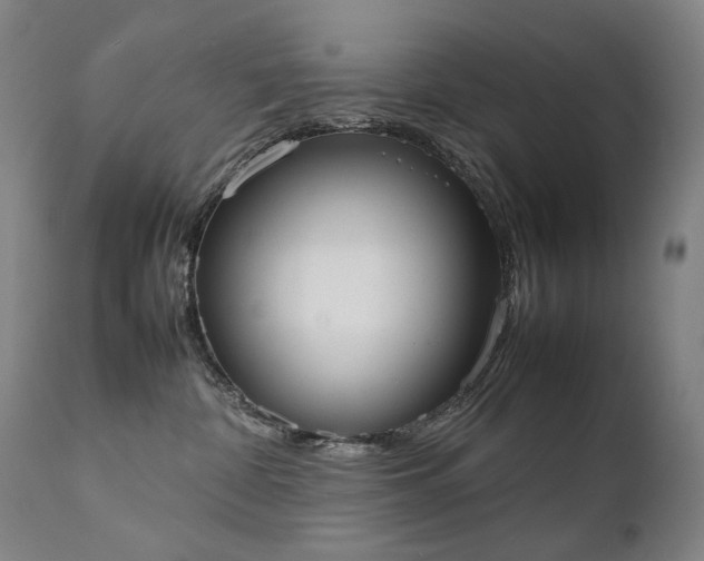 X0000111370332200907171204