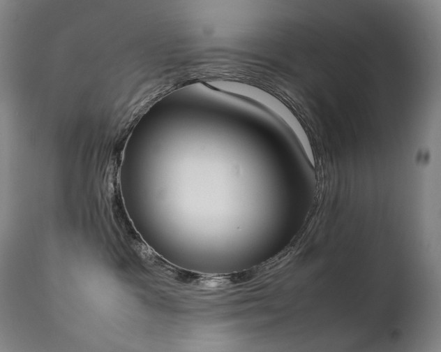 X0000111370333200907171204