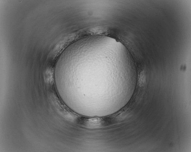 X0000111370335200907171204