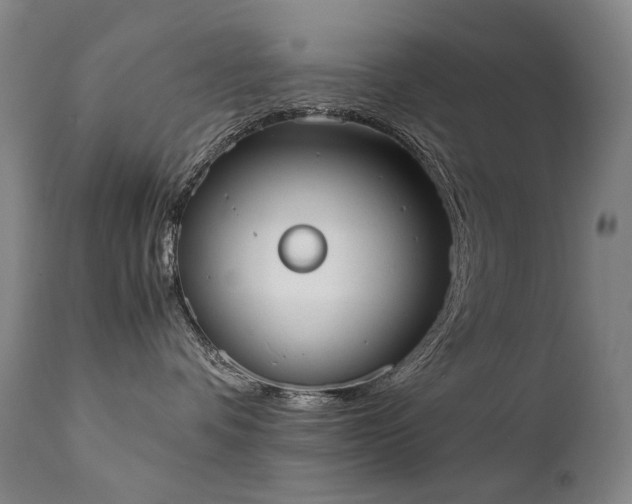 X0000111370336200907171204