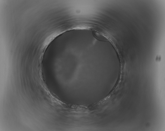 X0000111370337200907171203