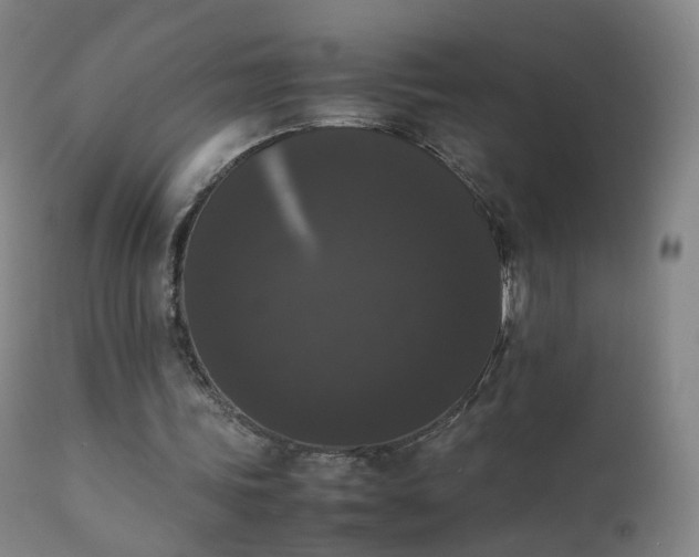 X0000111370339200907171203