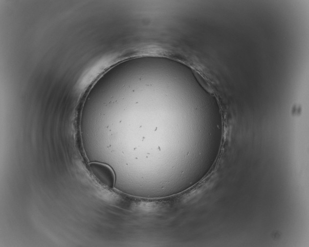 X0000111370341200907171203