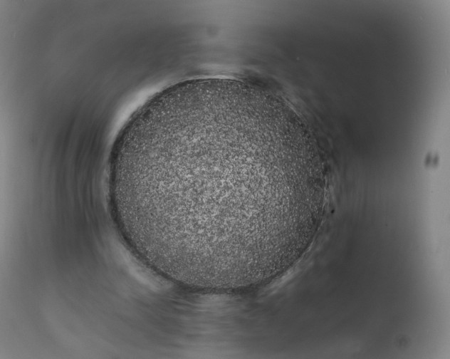 X0000111370342200907171203