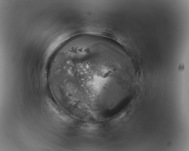 X0000111370343200907171203