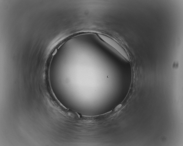 X0000111370344200907171203