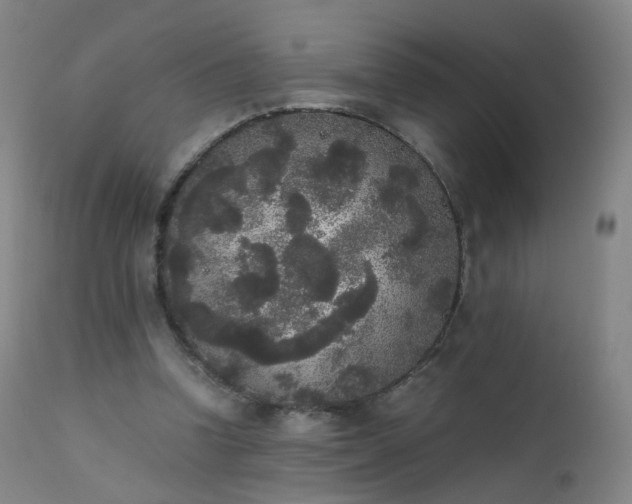 X0000111370346200907171203