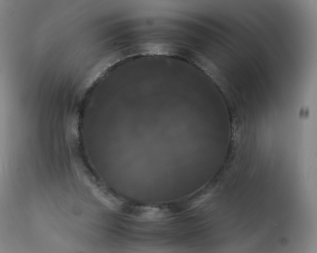 X0000111370347200907171203