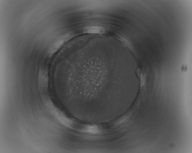 X0000111370349200907171204