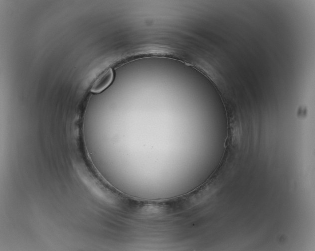 X0000111370350200907171204