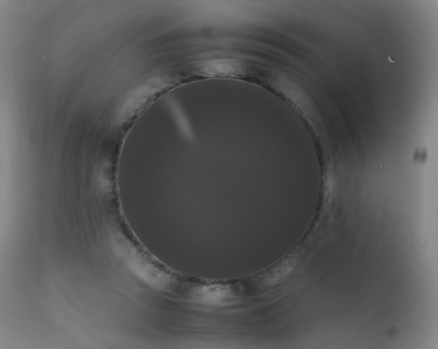 X0000111370353200907171204