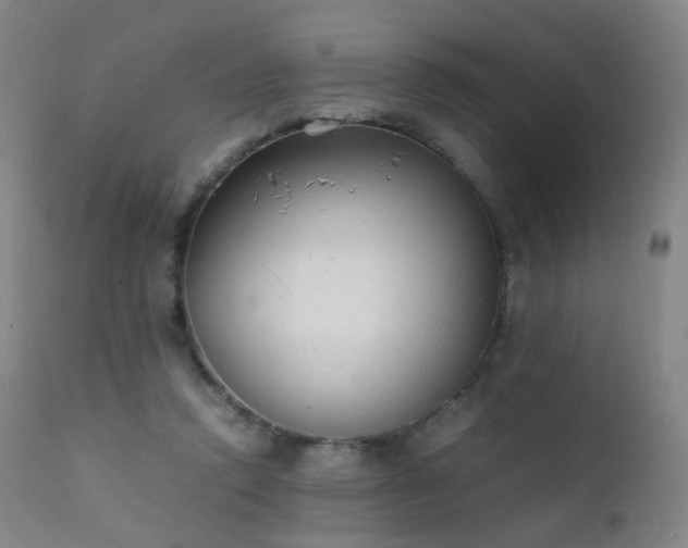 X0000111370354200907171204