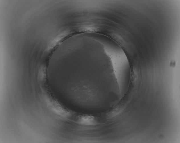 X0000111370355200907171204