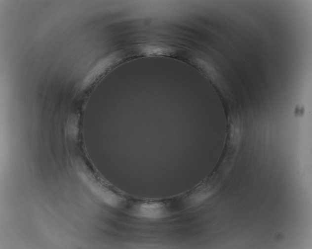 X0000111370357200907171204