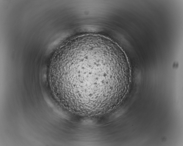 X0000111370358200907171204