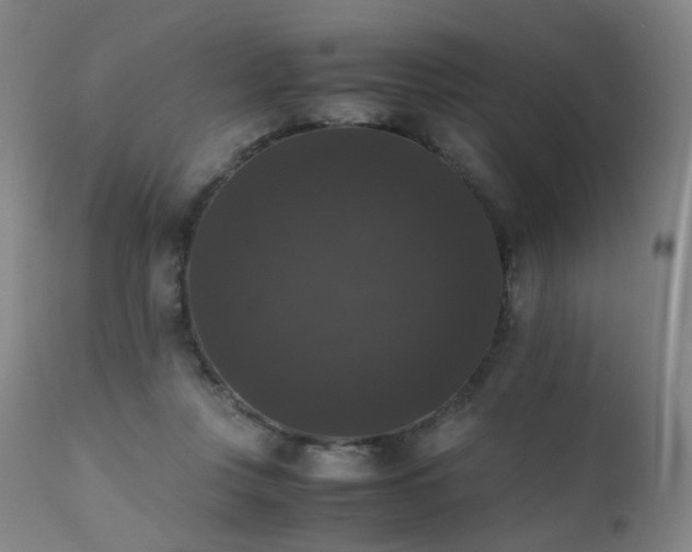 X0000111370359200907171204