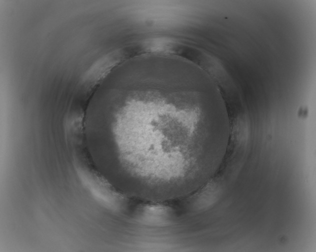 X0000111370360200907171204