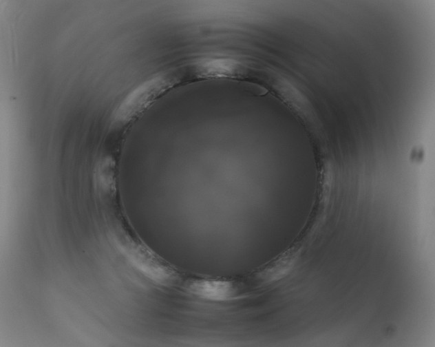 X0000111370361200907171204