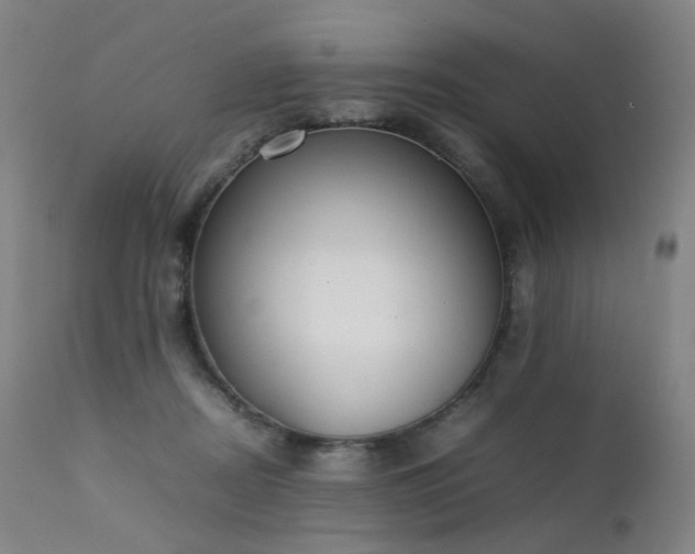 X0000111370362200907171204