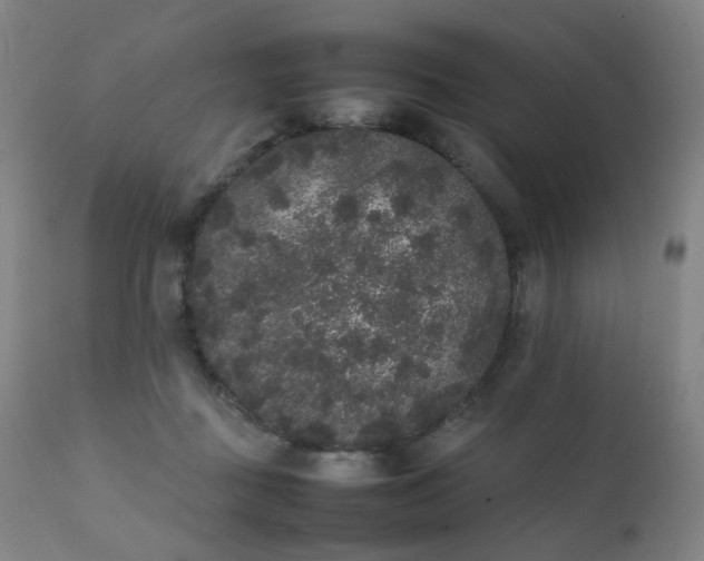 X0000111370363200907171204