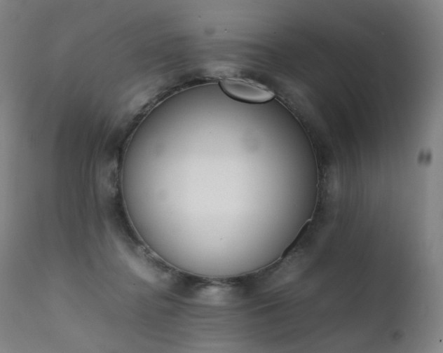 X0000111370364200907171204