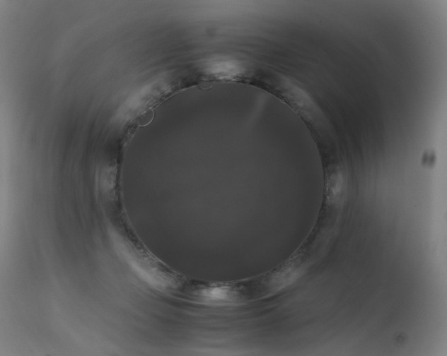 X0000111370365200907171204