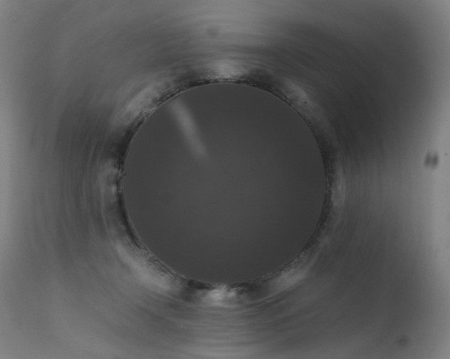 X0000111370366200907171204