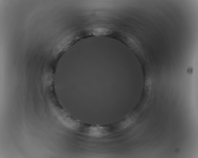 X0000111370367200907171204