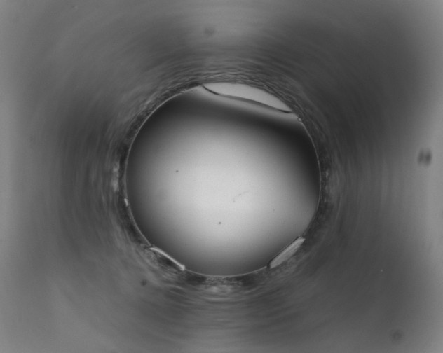 X0000111370368200907171204