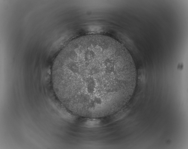 X0000111370369200907171204