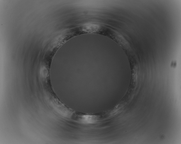 X0000111370371200907171204