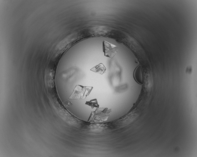X0000111370378200907171204