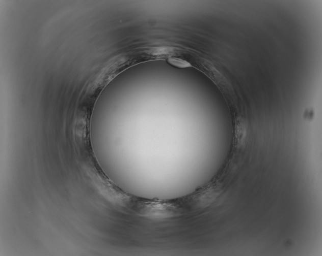 X0000111370379200907171204