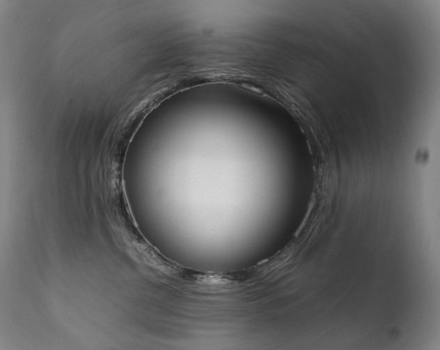 X0000111370380200907171204