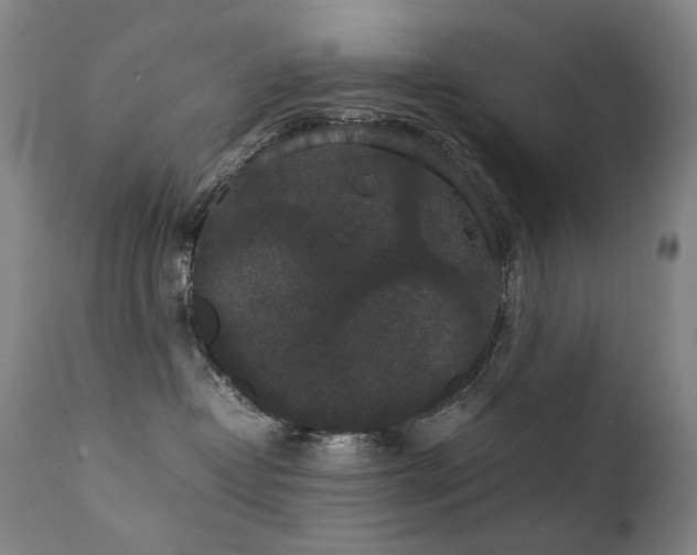 X0000111370382200907171204