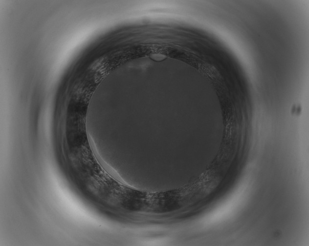 X0000111370383200907171204