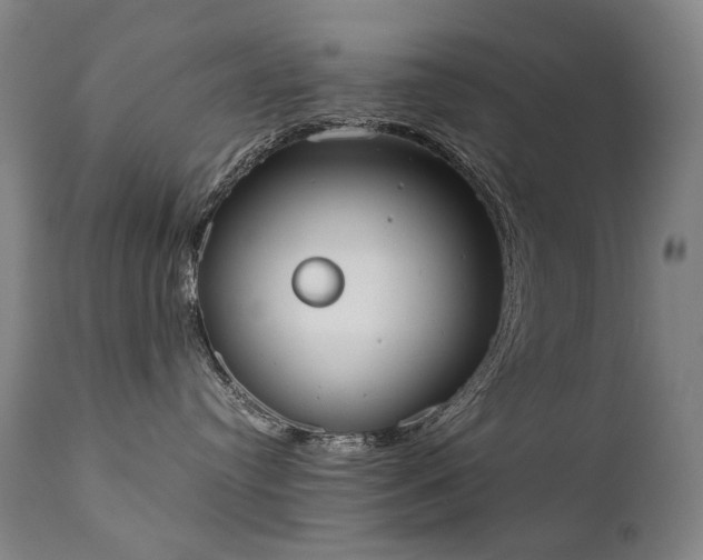 X0000111370384200907171204