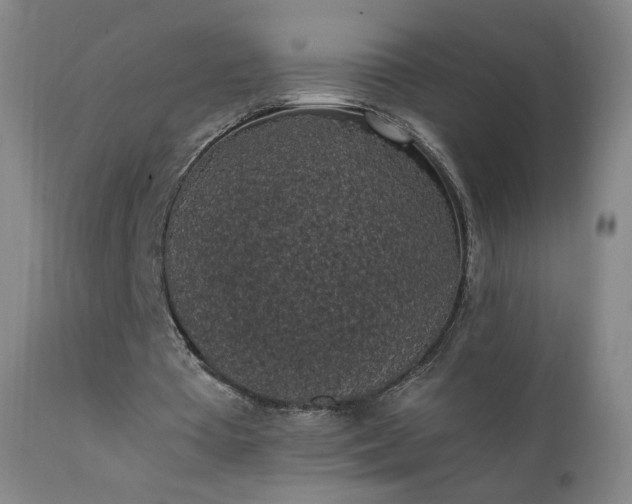 X0000111370385200907171203