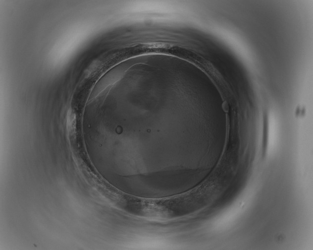 X0000111370387200907171203