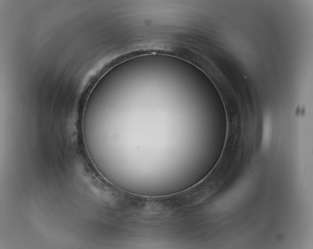 X0000111370388200907171203